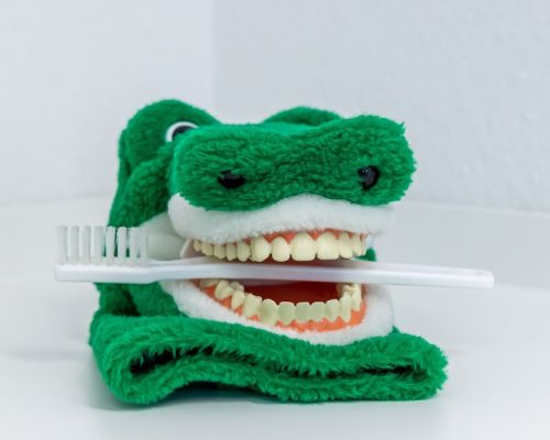 profident-wiesbaden-pracis-19-web